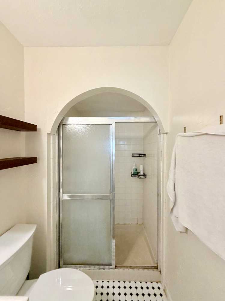 Full bath remodel - shower - before